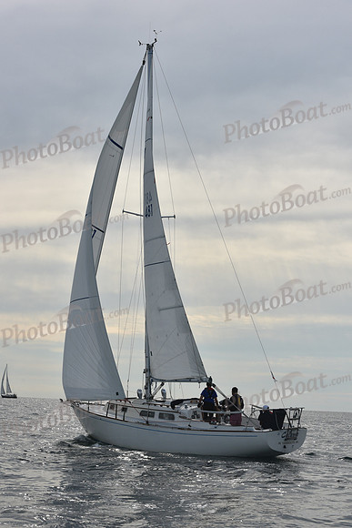 2019 Around Marthas Vineyard A_0173