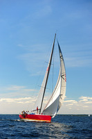 2014 Vineyard Race A 1861