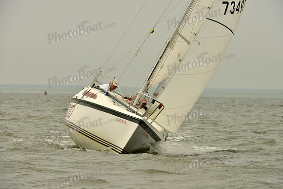 2016 Southern Bay Race Week A_0431