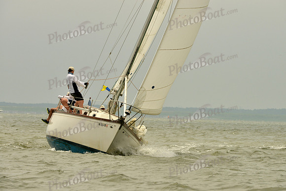 2016 Southern Bay Race Week A_1154