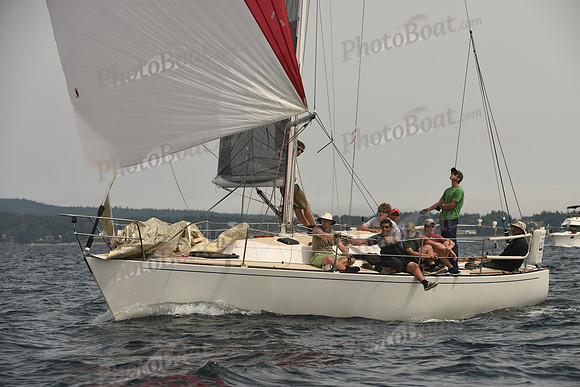 2016 Chester Race Week C_1564