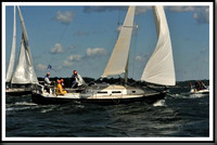 proof_2010_Vineyard_Race_0087