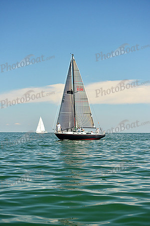 2015 Cape Charles Cup C 709