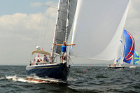 2013 Vineyard Race A 924