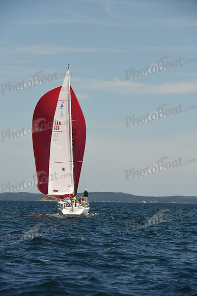 2016 Chester Race Week A_0387