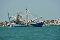 2014 Key West Race Week D 1229