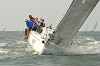 2015 Vineyard Race A 555