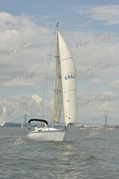 2018 ALIR_1282