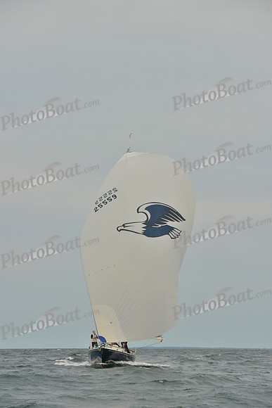 2016 Vineyard Race B_1008