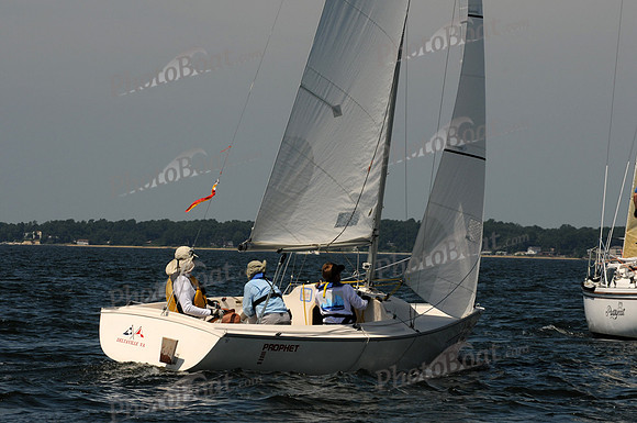2011 Screwpile C 239