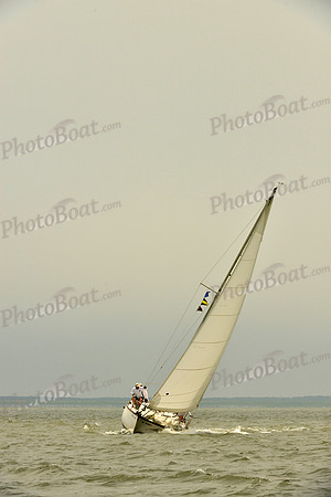 2016 Southern Bay Race Week A_1151