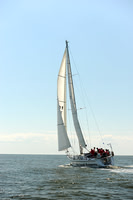 2014 Charleston Race Week A 253