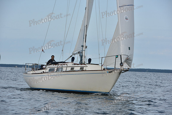 2019 Around Marthas Vineyard A_0158