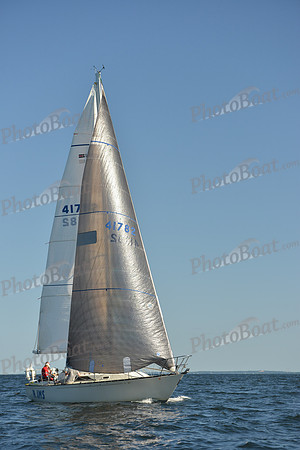 2015 Vineyard Race C 554