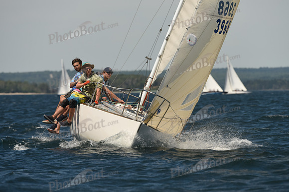 2016 Chester Race Week A_1077