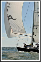 proof_2010_Vineyard_Race_1431