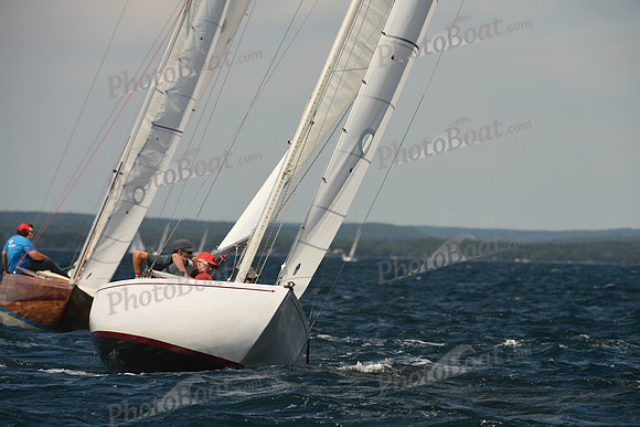 2016 Chester Race Week A_1233