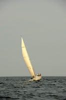 2013 Vineyard Race B 705