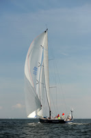 2013 Vineyard Race A 1839