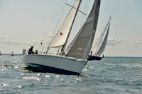 Joy Sea