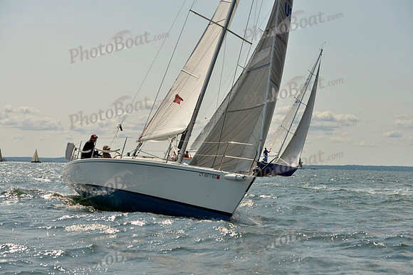 2017 Stamford Denmark Race_0708