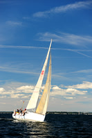 2014 Vineyard Race A 1080