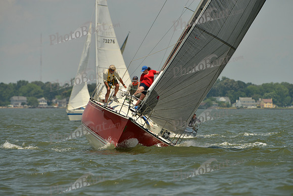 2016 Southern Bay Race Week F_1266