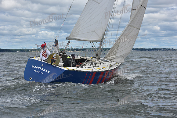 2021 Vineyard Race A 0330