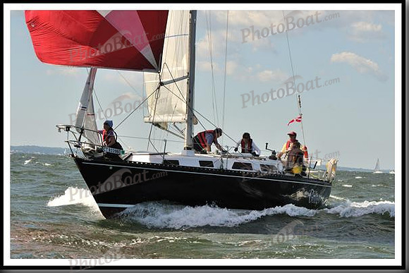 proof_2010_Vineyard_Race_1117