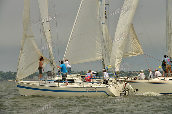 2016 Southern Bay Race Week A_0947