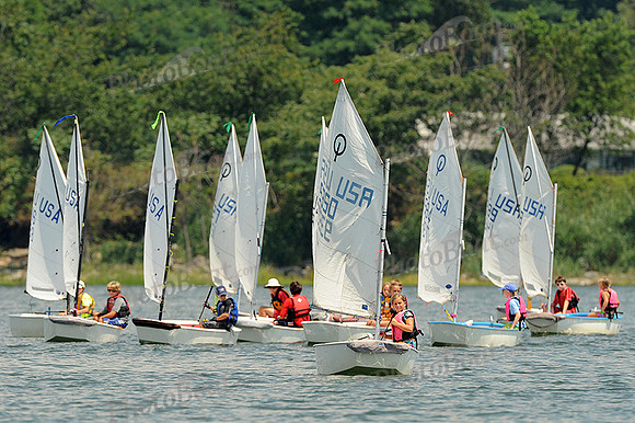 2012 Opti Green Fleet 381