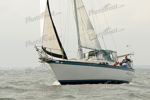 2012 Cape Charles Cup A 454