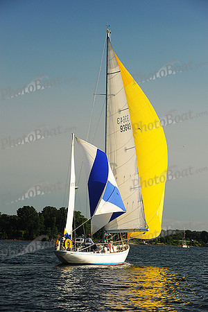 2015 Gov Cup D 235