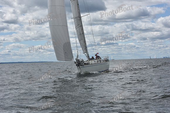 2021 Vineyard Race A 0880