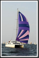 proof_2010 Gov Cup B 120