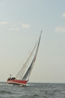 2015 Vineyard Race B 262