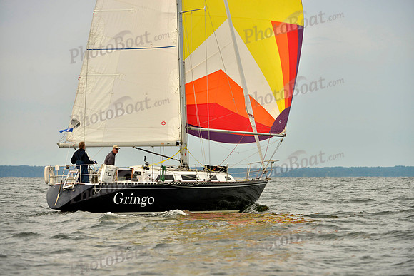 2017 Vineyard Race B_0113