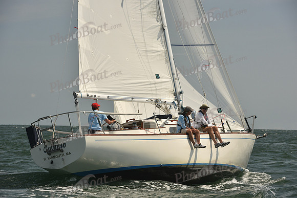 2018 Vineyard Cup A_0468