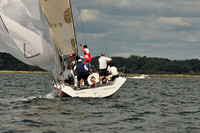 2010 IRC LIS 293