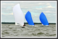 proof_2010_EScows_A 938