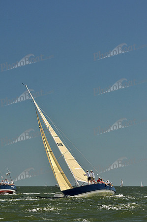 2013 Southern Bay Race Week D 560