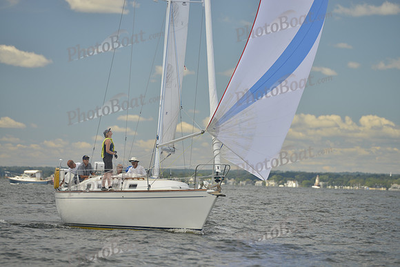2016 Vineyard Race A_0435