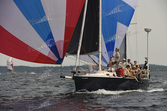 2016 Chester Race Week C_1455
