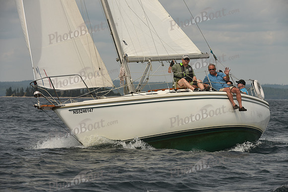 2016 Chester Race Week C_1278