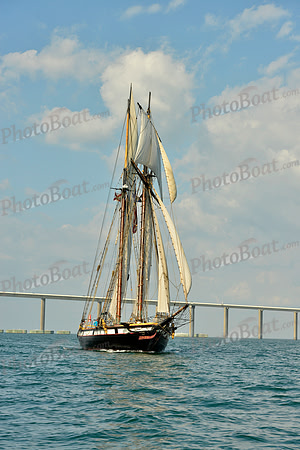 2017 St Petersburg Habana Race_1778