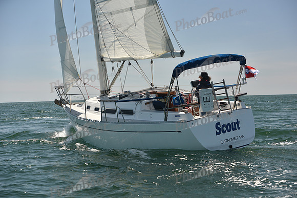 2024 Figawi 0194