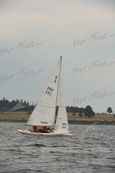 2016 Chester Race Week D_0891