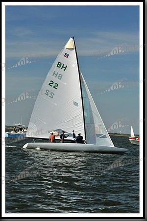 proof_2010_EScows_E 1408