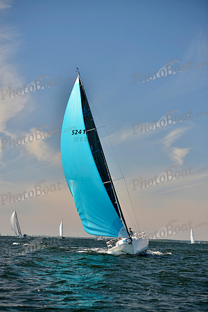 2017 Vineyard Race A_0647