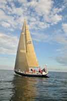 2008 Vineyard Race 442